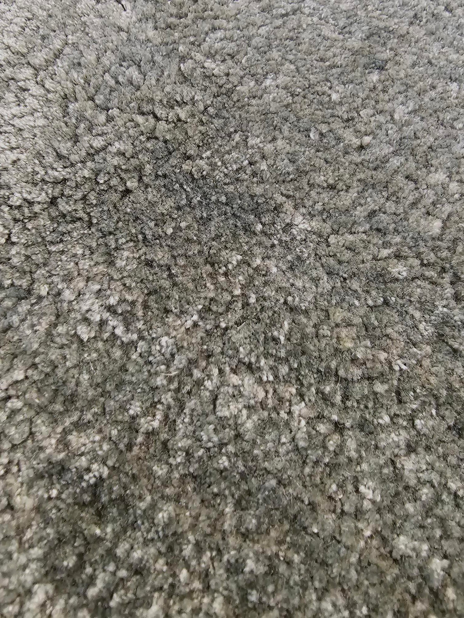 Olive Silk