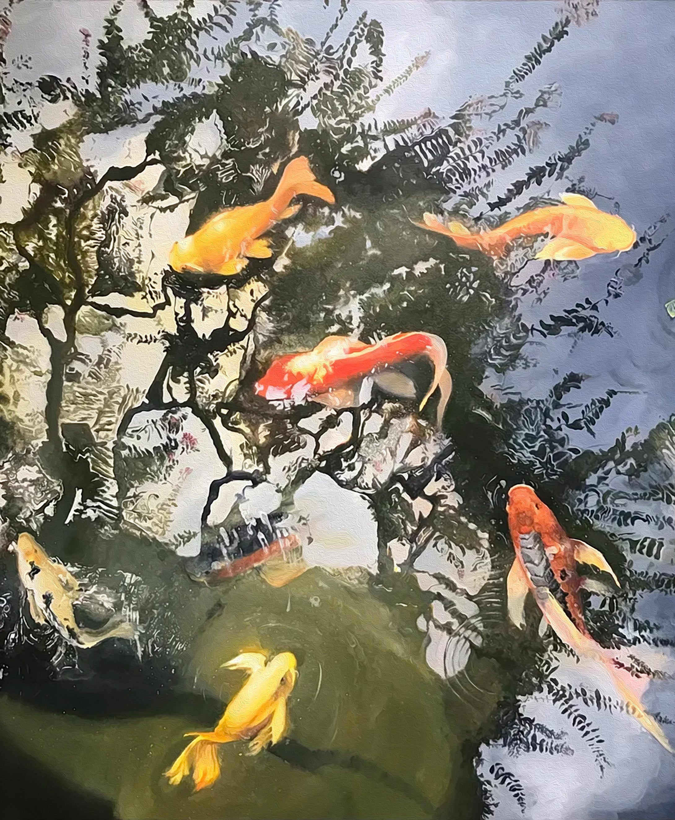 Bethanie Koi Pond