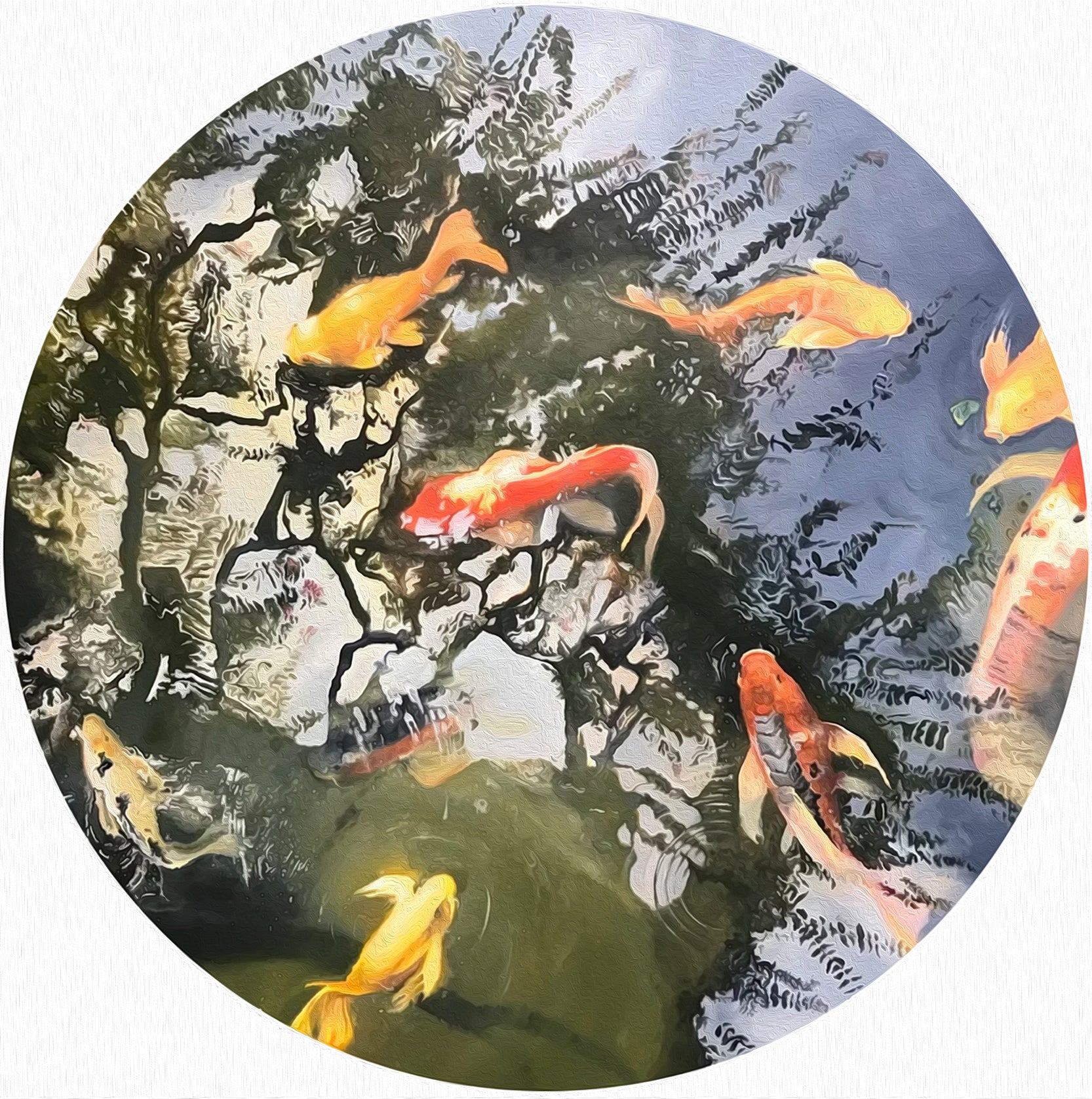 Bethanie Koi Pond
